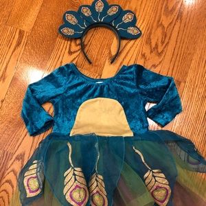 Pottery Barn peacock costume 2-3T